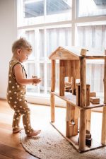 Eco Doll house