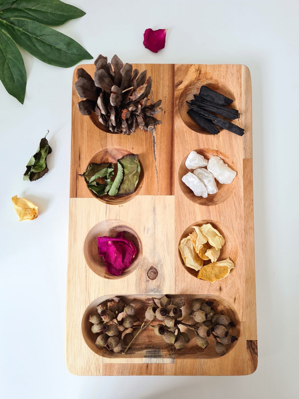 Montessori Sorting Tray - Image 4