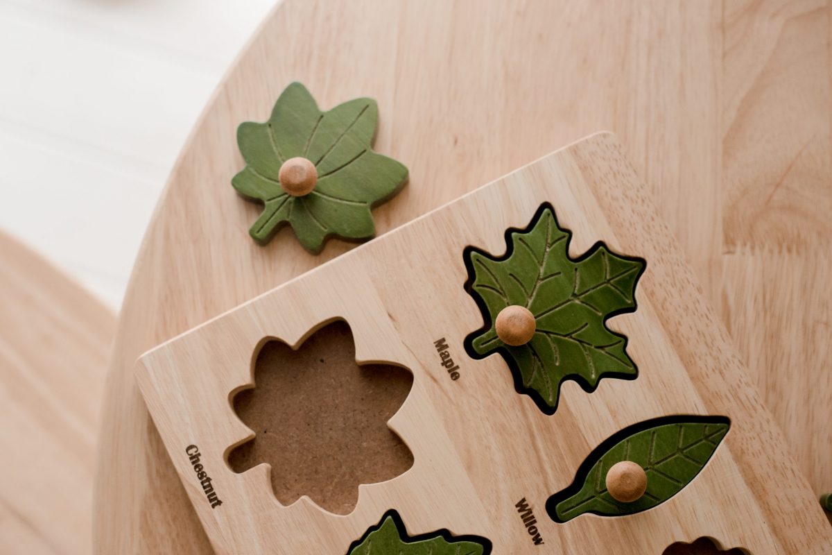 Montessori Leaf Puzzle - Image 2