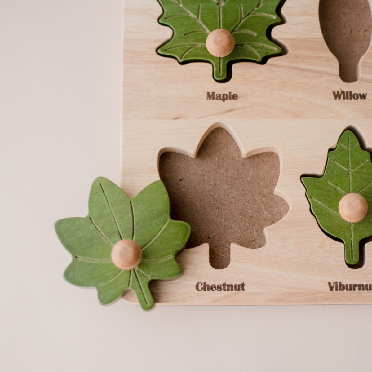 Montessori Leaf Puzzle - Image 4