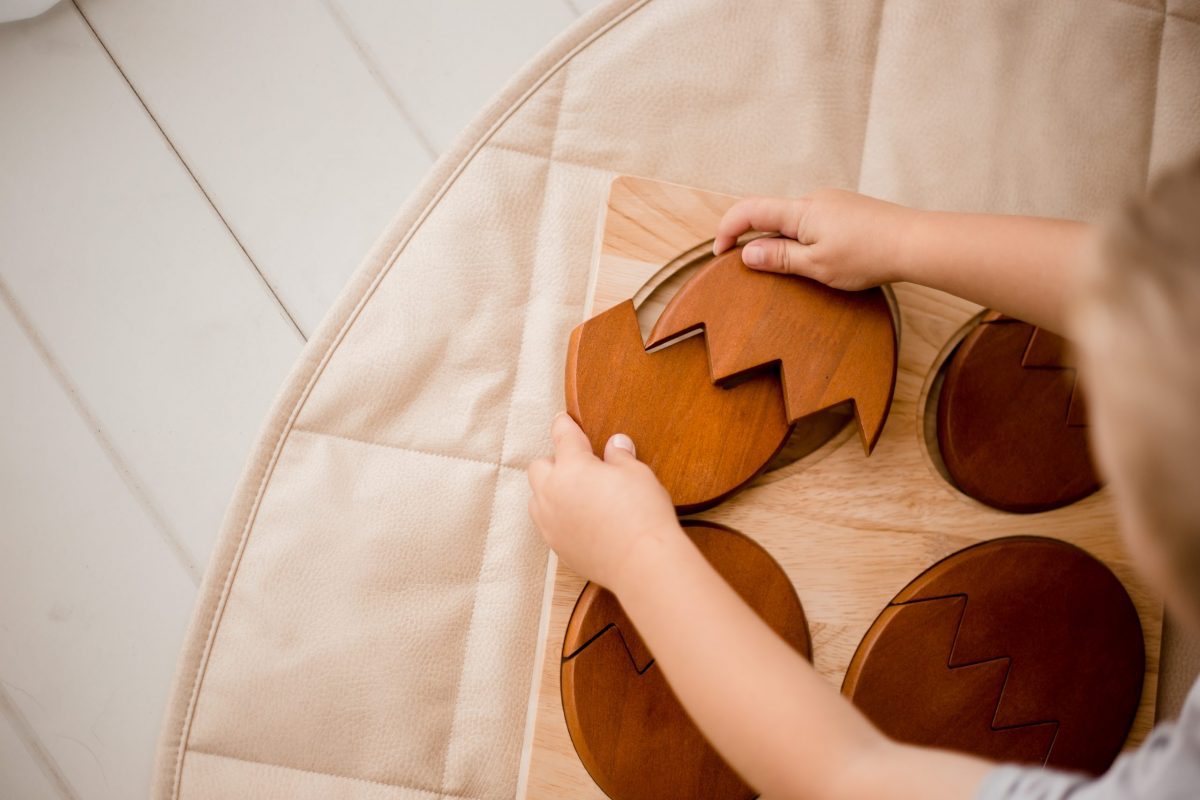 Dinosaur Hatching Puzzle - Image 2