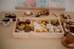 Montessori Sorting Trays set of 3 - Image 4