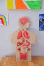 Wooden Human body Anatomy Puzzle - Image 6