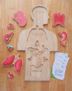 Wooden Human body Anatomy Puzzle - Image 2