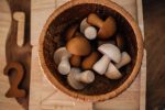 Mushroom set of 10