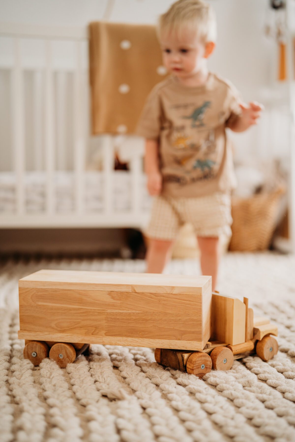 Cargo Truck - Image 7