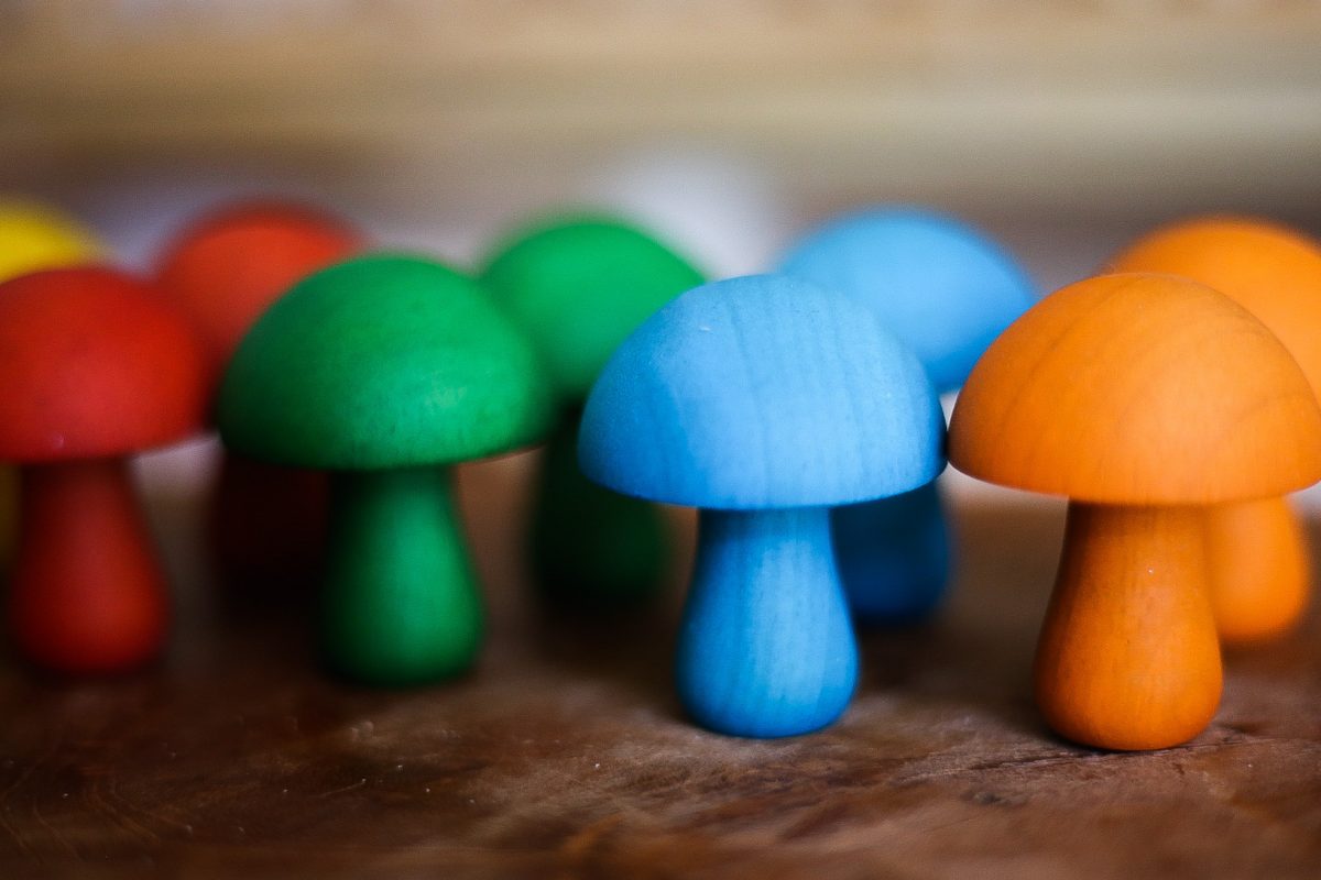 Coloured Mushrooms