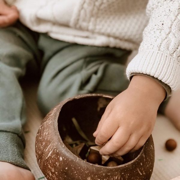 Coconut Sensory Box