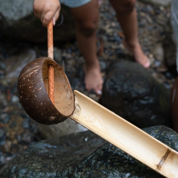 Coconut Water Scoop