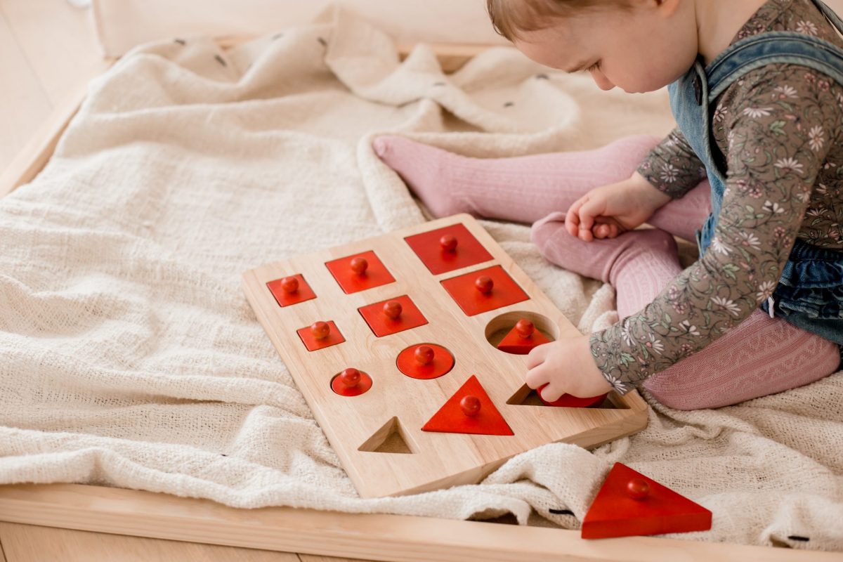 Toddler Knob Shape Puzzle - Image 6