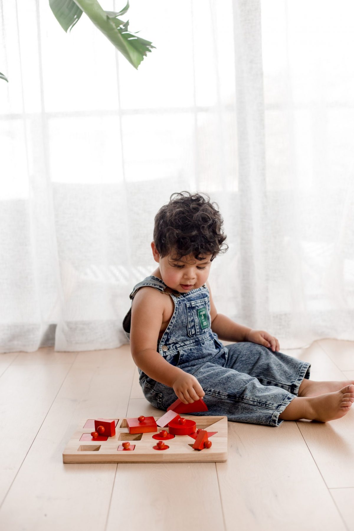 Toddler Knob Shape Puzzle