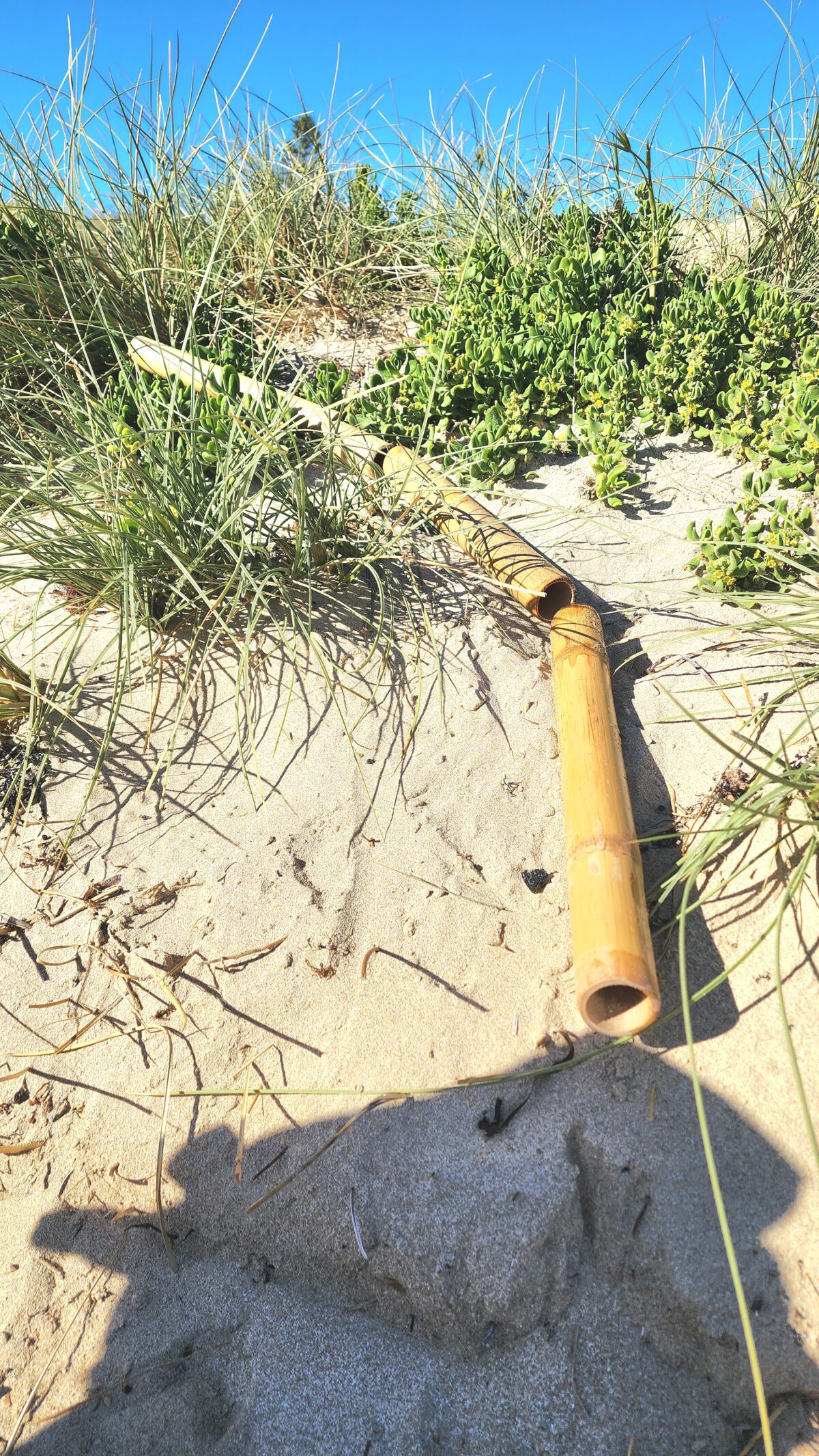 Mini Bamboo Channels - Image 12