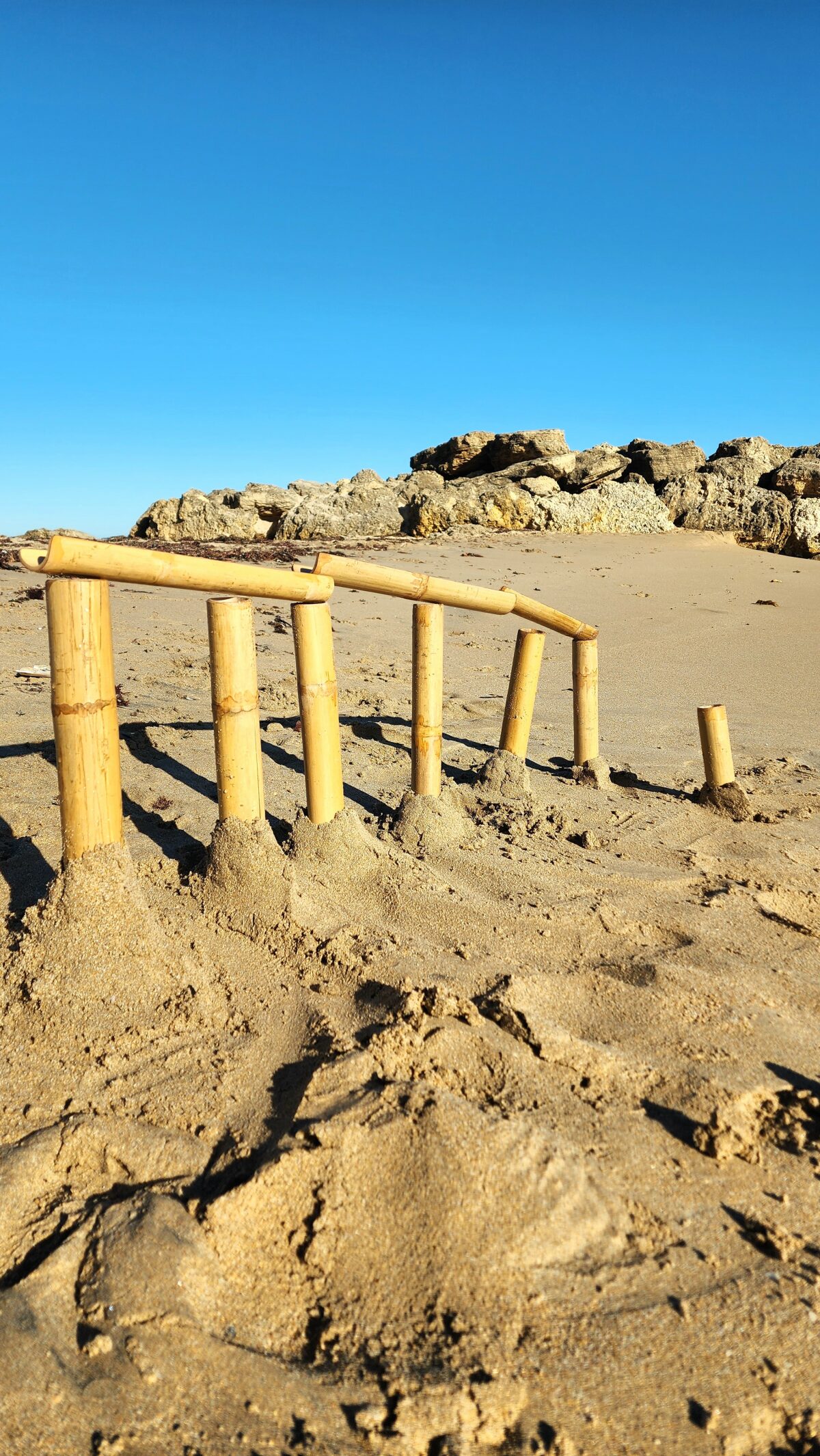 Mini Bamboo Channels - Image 5
