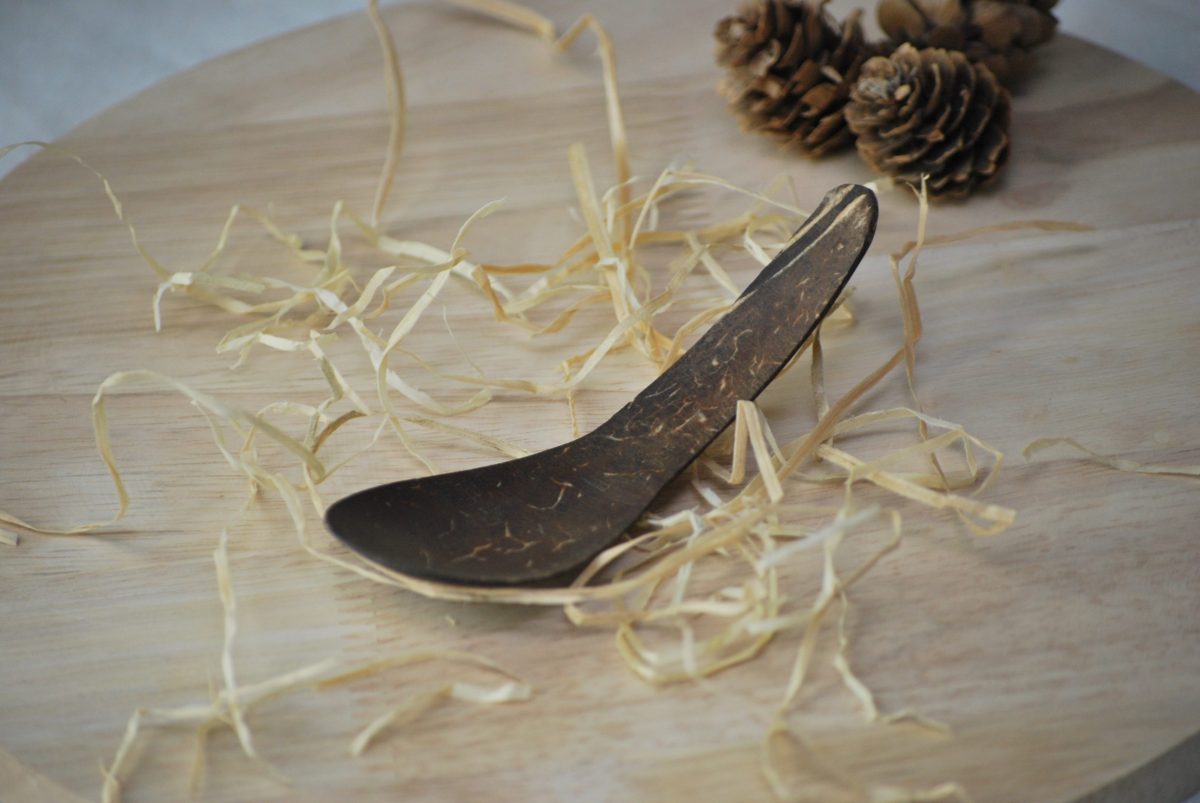 coconut shell spoon