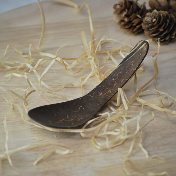 coconut shell spoon