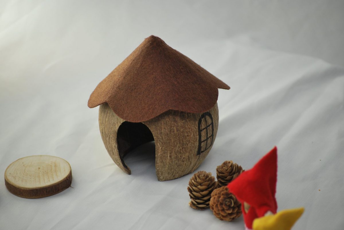 Coconut Gnome House - Image 7