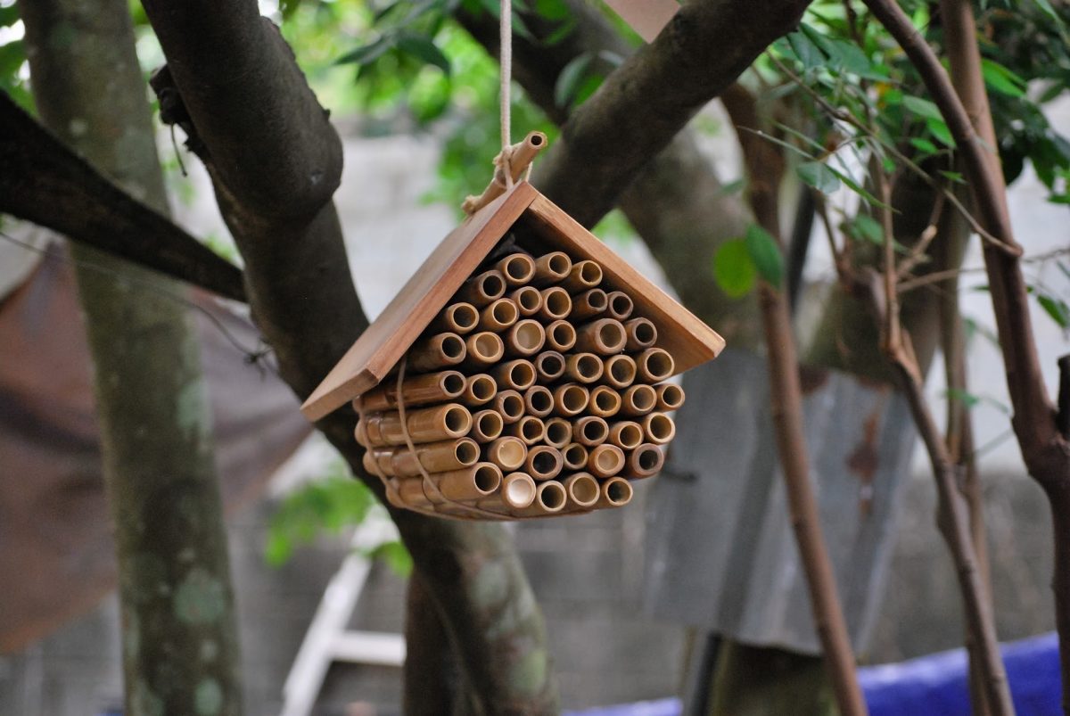Hanging Bee House - Image 3
