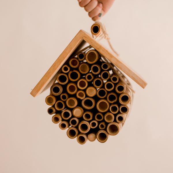 Hanging Bee House
