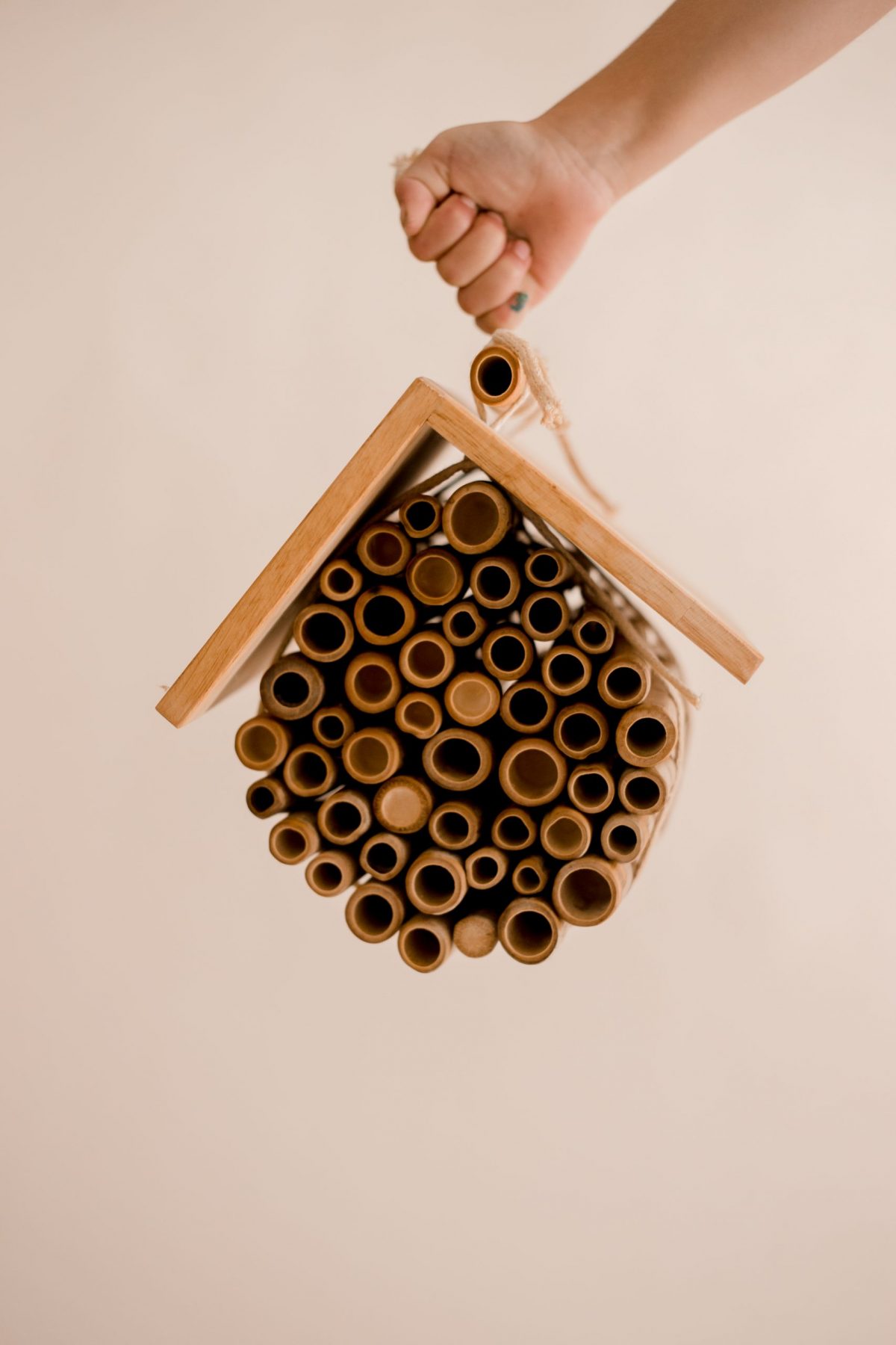 Hanging Bee House