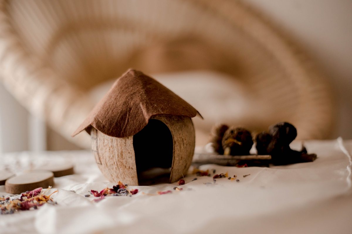 Coconut Gnome House - Image 3