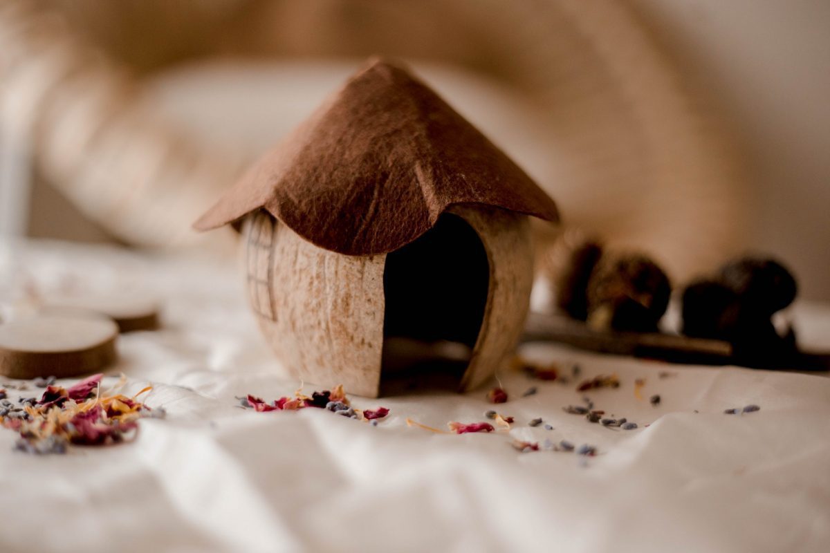 Coconut Gnome House - Image 4