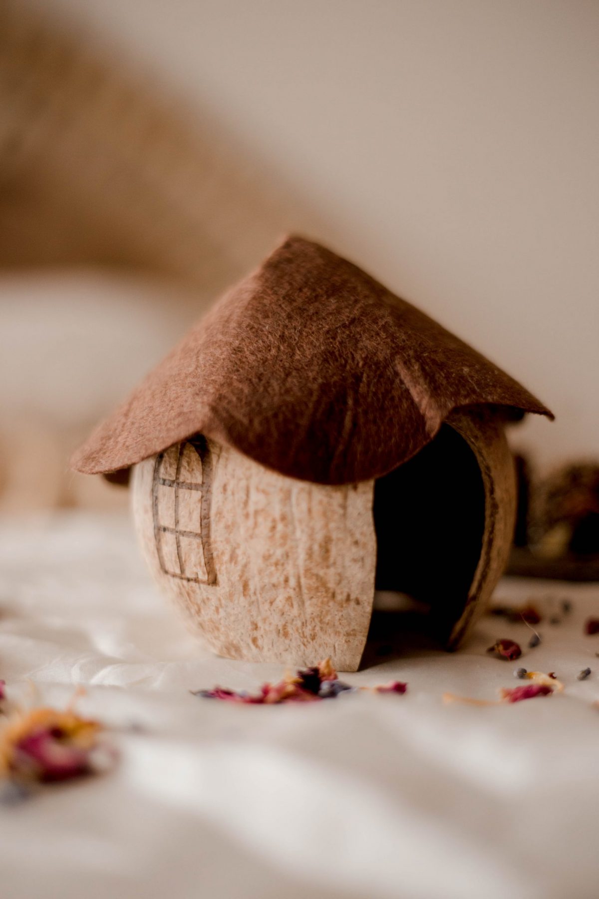 Coconut Gnome House - Image 5