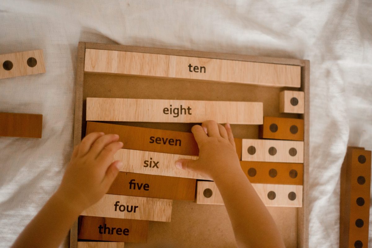 2-Tone Counting Maths set - Image 6
