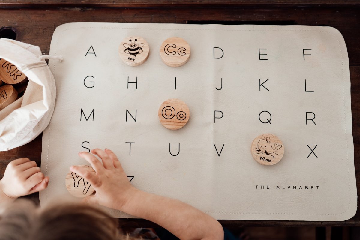 Animal Alphabet set - Image 9