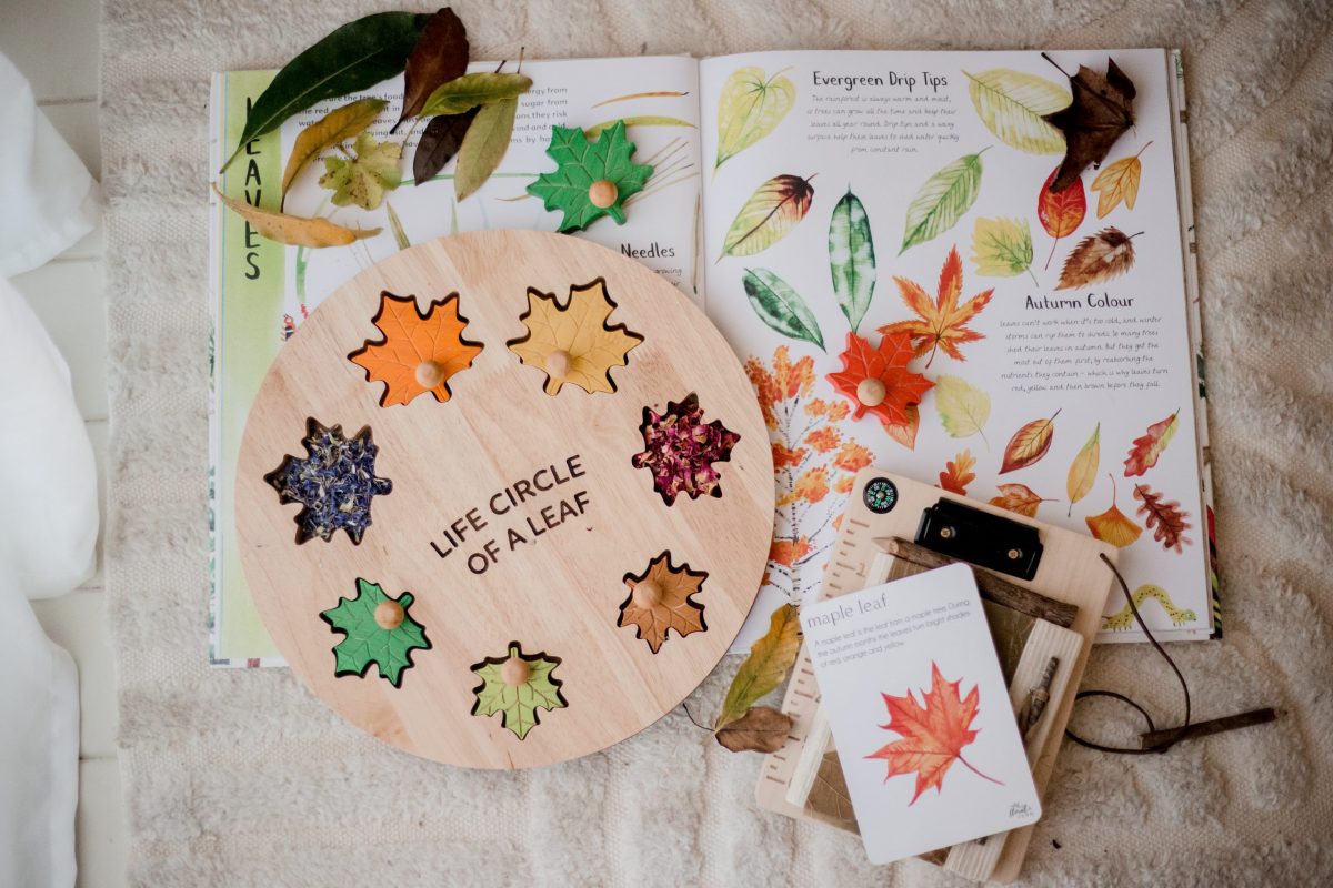 Leaf Circle Of Life Puzzle