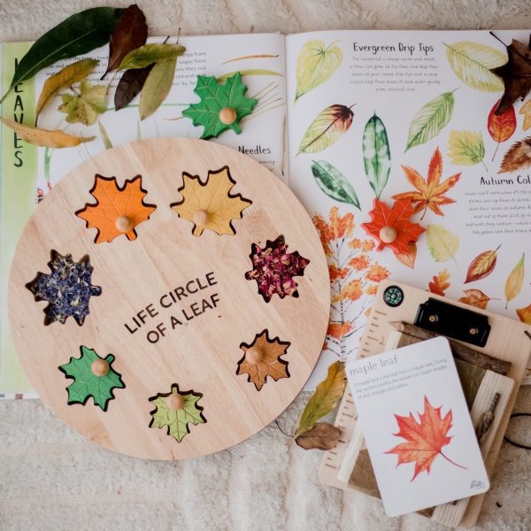 Leaf Circle Of Life Puzzle