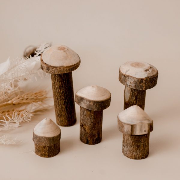 Tree Mushroom Set