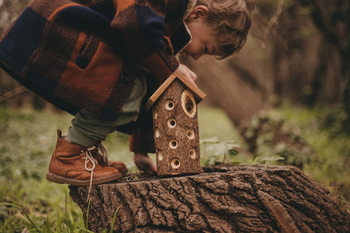 Ladybug House - Image 2