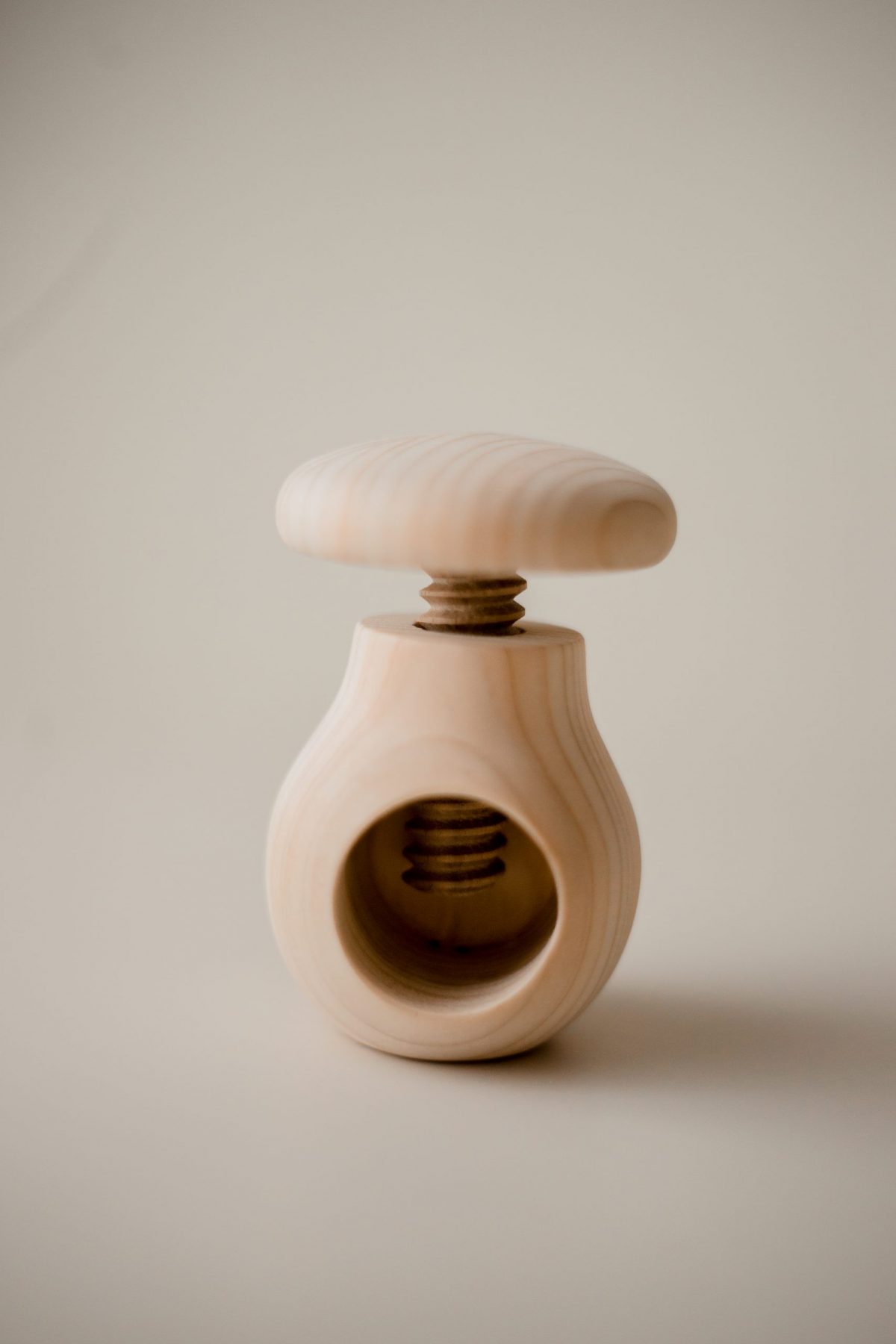Screw Mushroom - Image 3