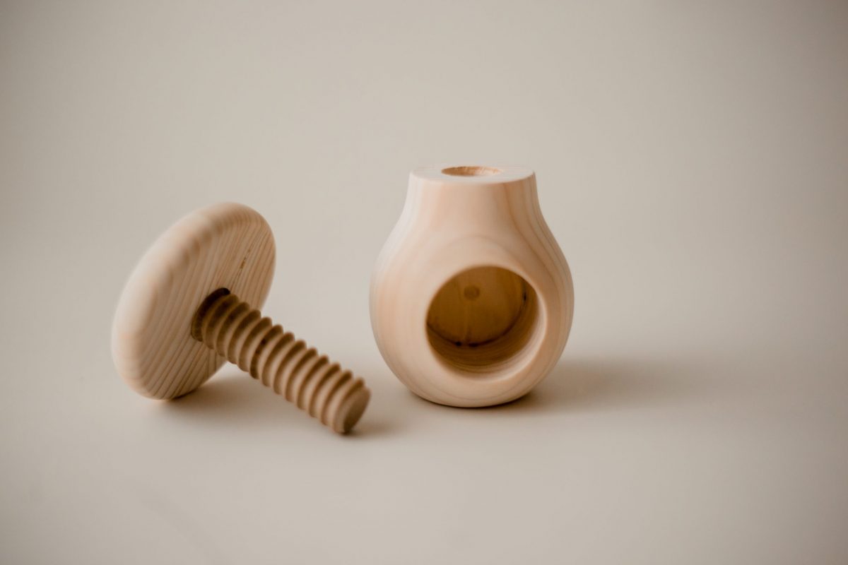 Screw Mushroom - Image 2