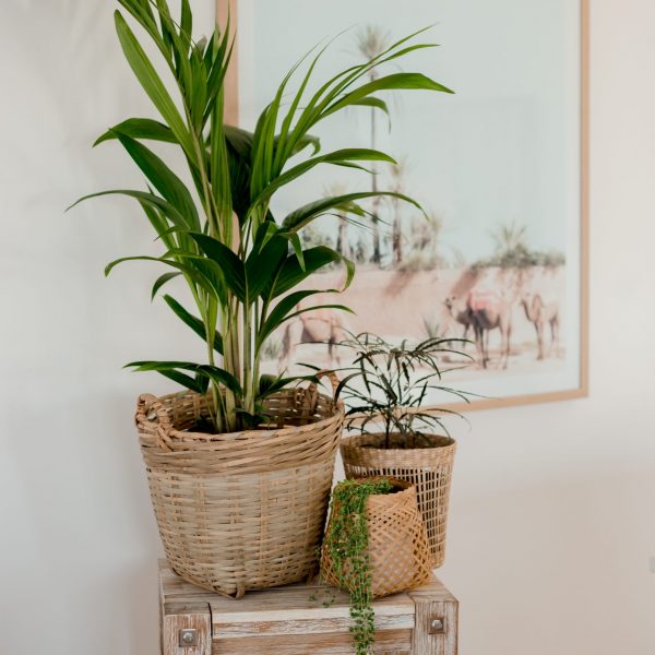 Bamboo Storage Basket