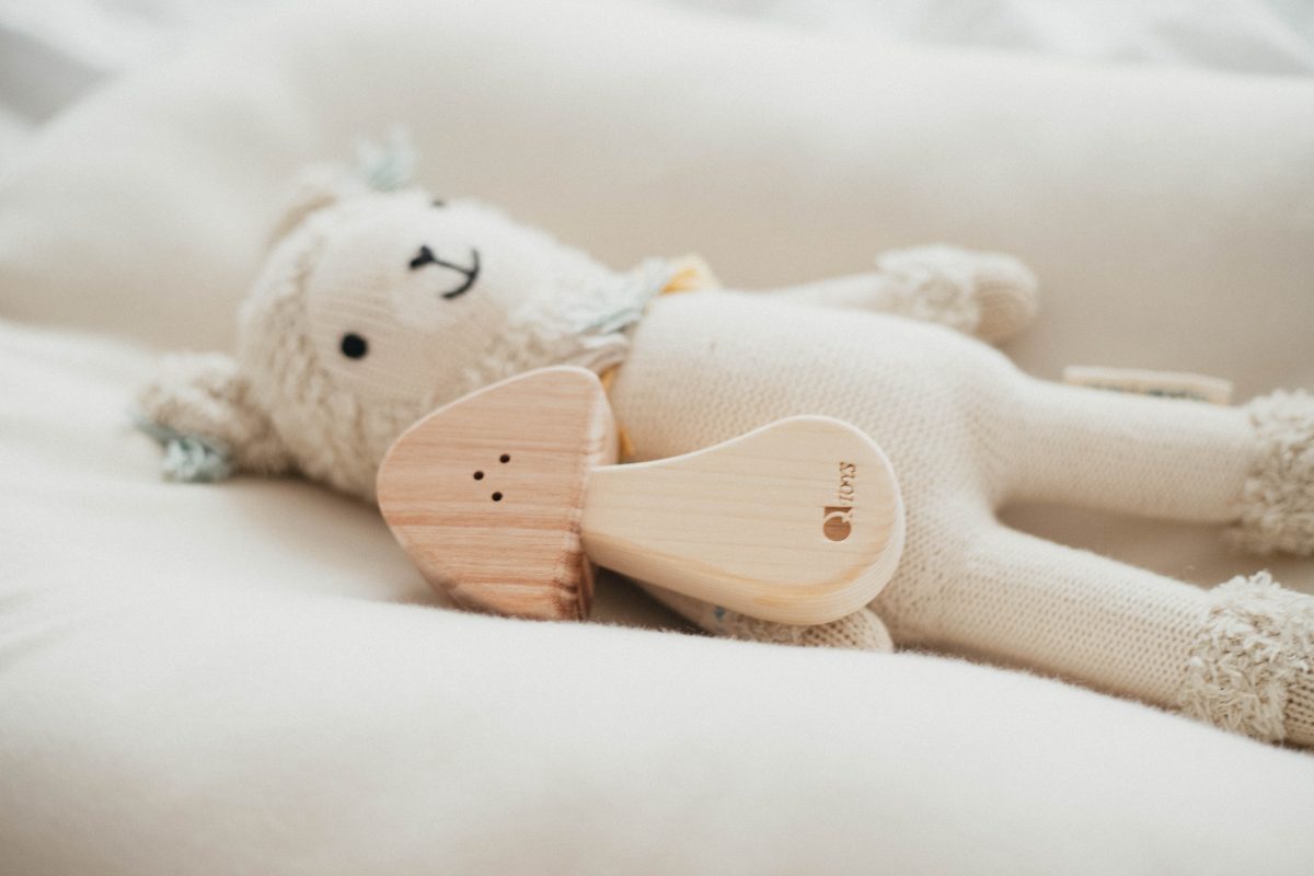 Mushroom Rattle - Image 9