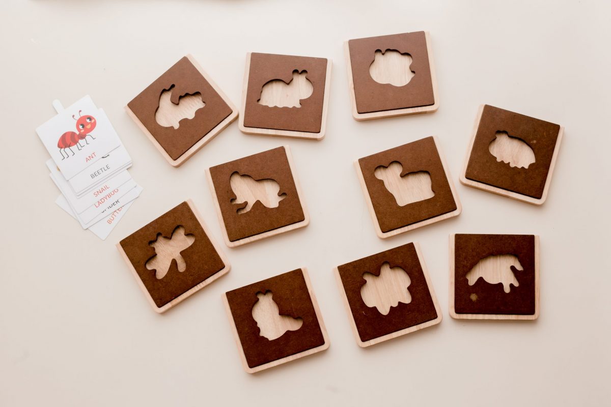 My first Insect learning set - Image 4