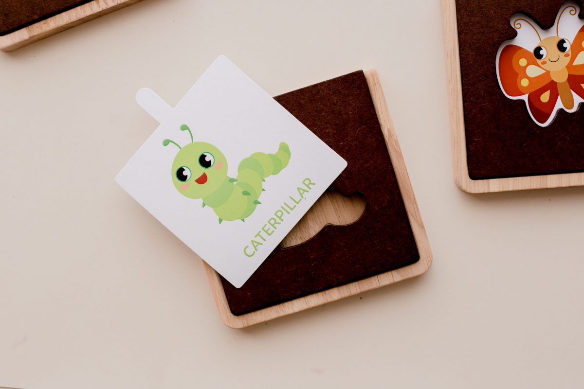 My first Insect learning set - Image 2