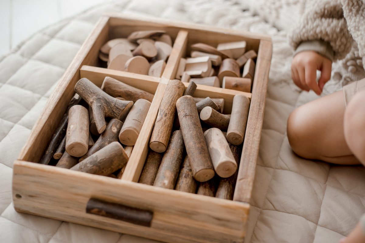 Assorted Tree Blocks - Image 2