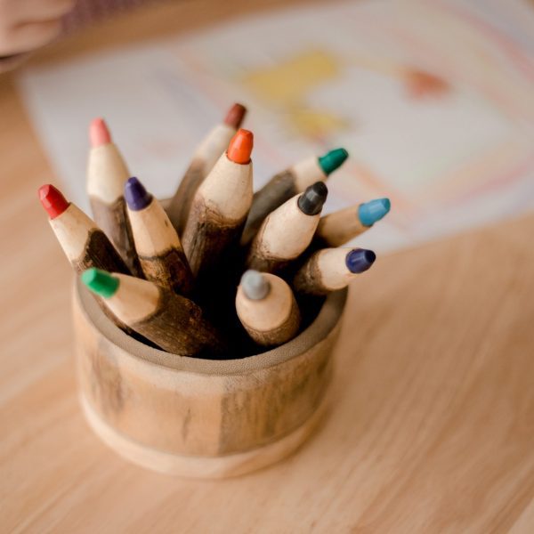 tree coloured pencil set