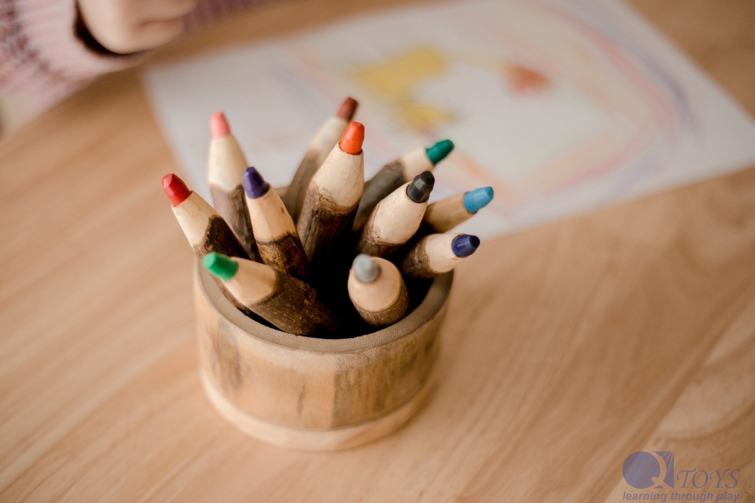 tree coloured pencil set tree coloured pencil set