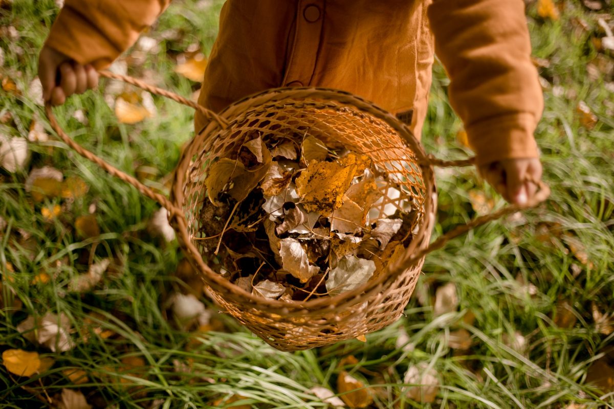 Beach Play Basket - Image 8
