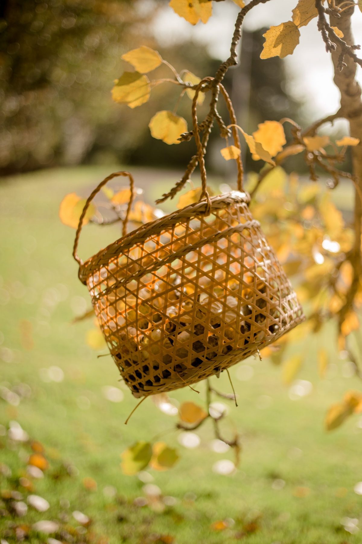 Beach Play Basket - Image 9