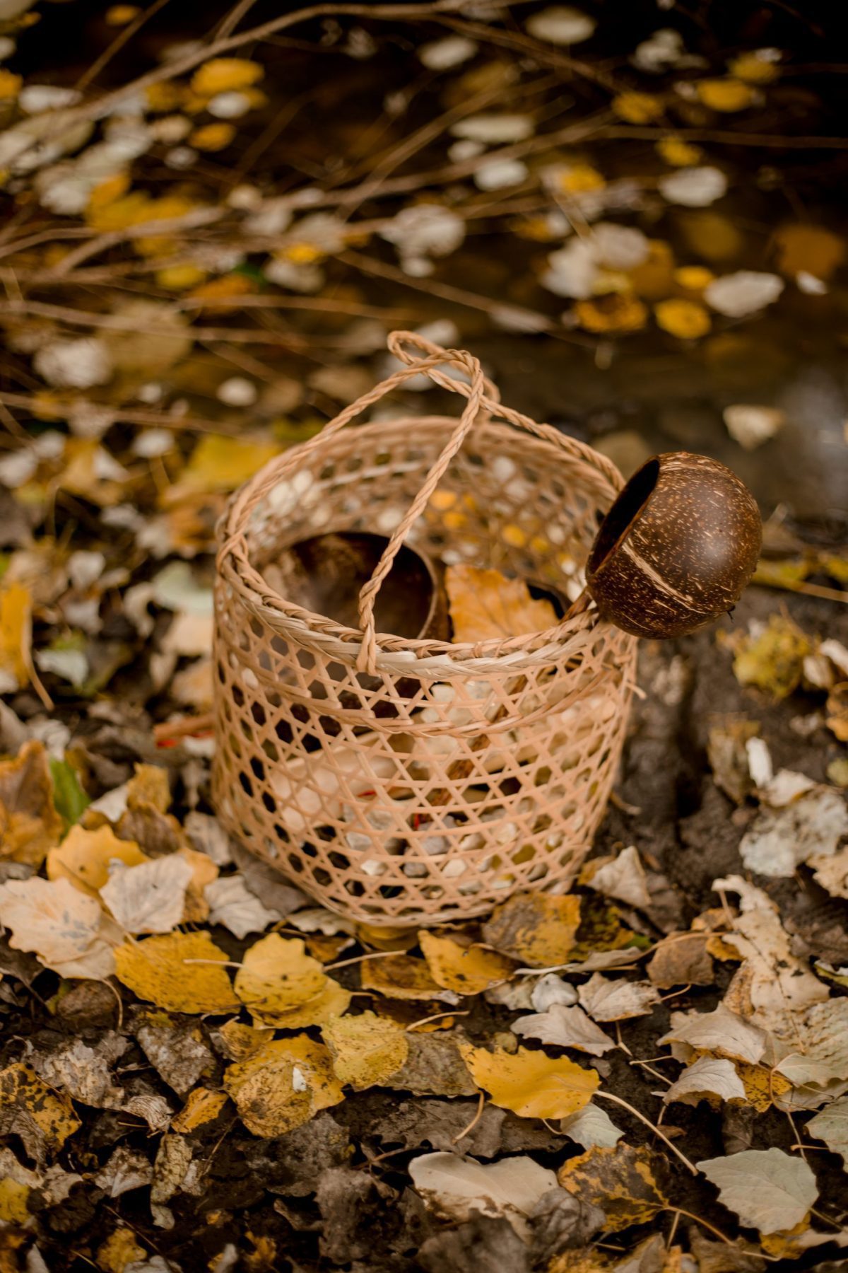Beach Play Basket - Image 10