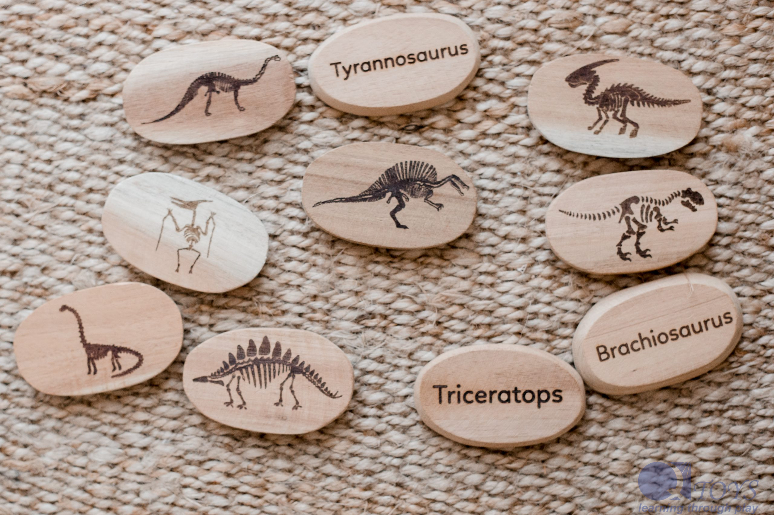 Dinosaur Stones Set of 10 - Image 3
