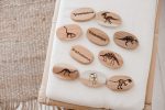 Dinosaur Stones Set of 10