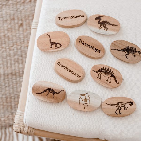 Dinosaur Stones Set of 10