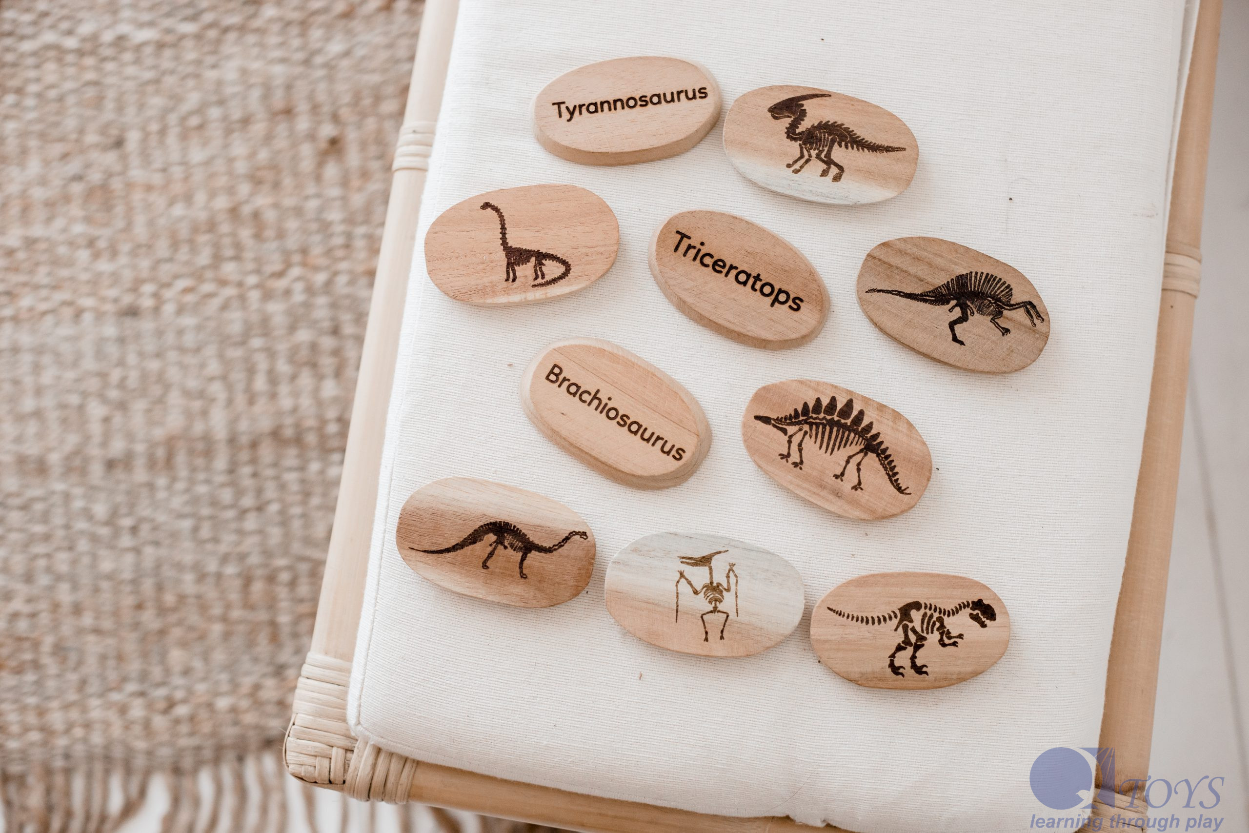 Dinosaur Stones Set of 10