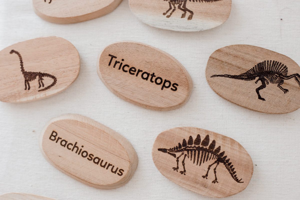 Dinosaur Stones Set of 10 - Image 2