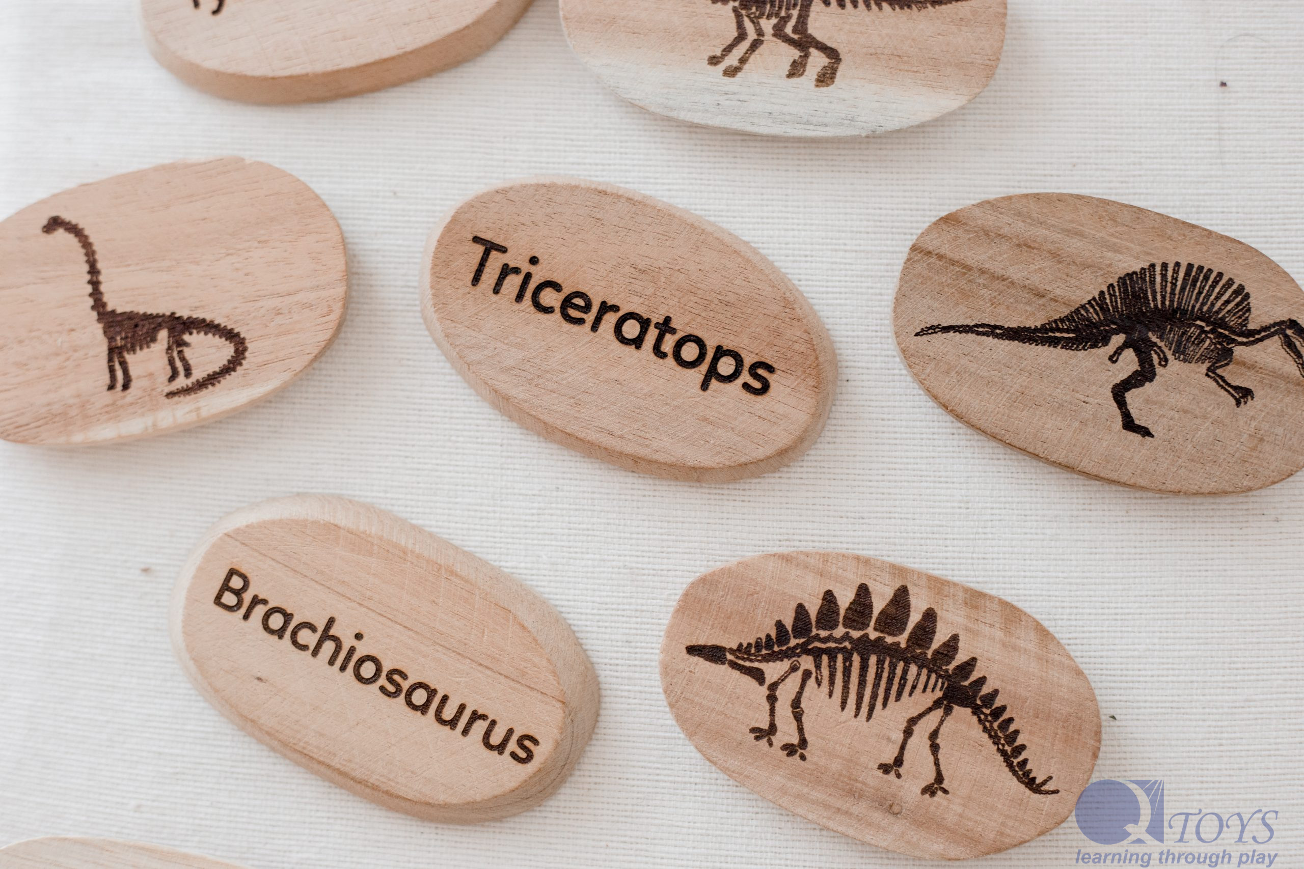 Dinosaur Stones Set of 10 - Image 2